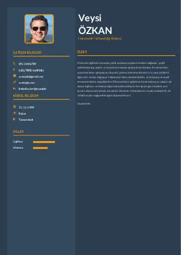 Mekatronik Mühendisliği Cv Örnekleri cv indir